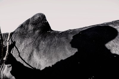 ©haddadToni madagascar archive, archive, madagascar, digital , haddadToni, antananrivo , art, photography, photographs, artworks, canon , #madagascararchive, #archive, #madagascar, #digital, #haddadToni, #tulear , #artphotography , #photograph , # photographmadagascar , #artworks , #5d , photographs, prints, #prints, photo, #photo , #digital photos of madagascar , #canon