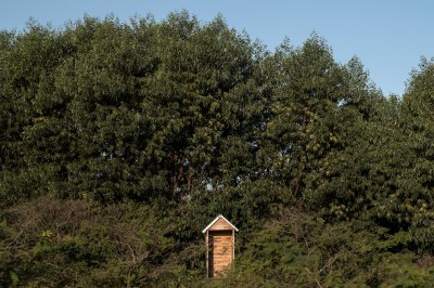 #freelance #photographer #haddadtoni #tasweer #active #available #beirut #madagascar #lebanon #beirut