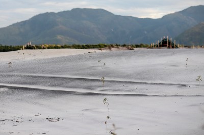 #freelance #photographer #haddadtoni #tasweer #active #available #beirut #madagascar #lebanon #beirut