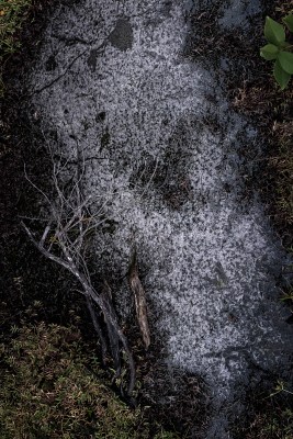 #freelance #photographer #haddadtoni #tasweer #active #available #beirut #madagascar #lebanon #beirut