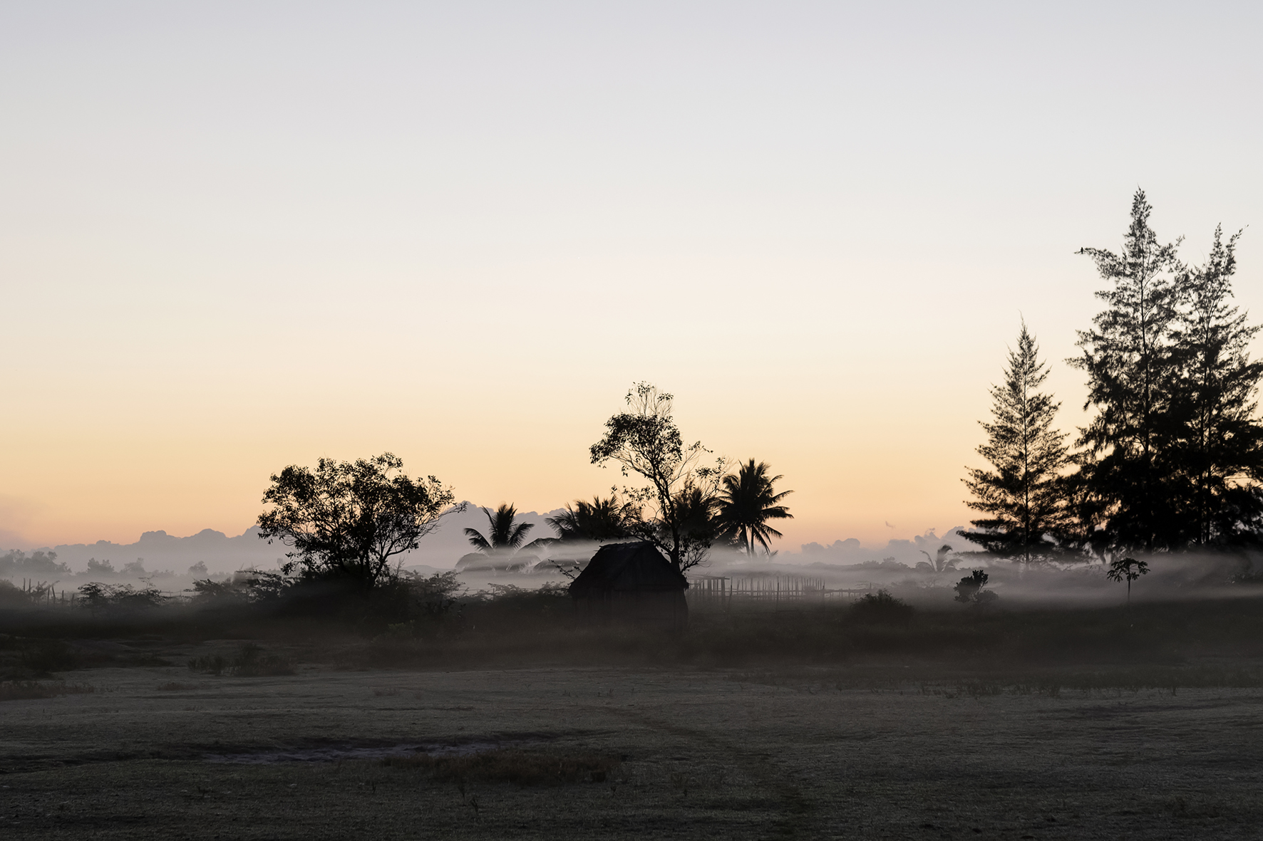 #freelance #photographer #haddadtoni #tasweer #active #available #beirut #madagascar #lebanon #beirut