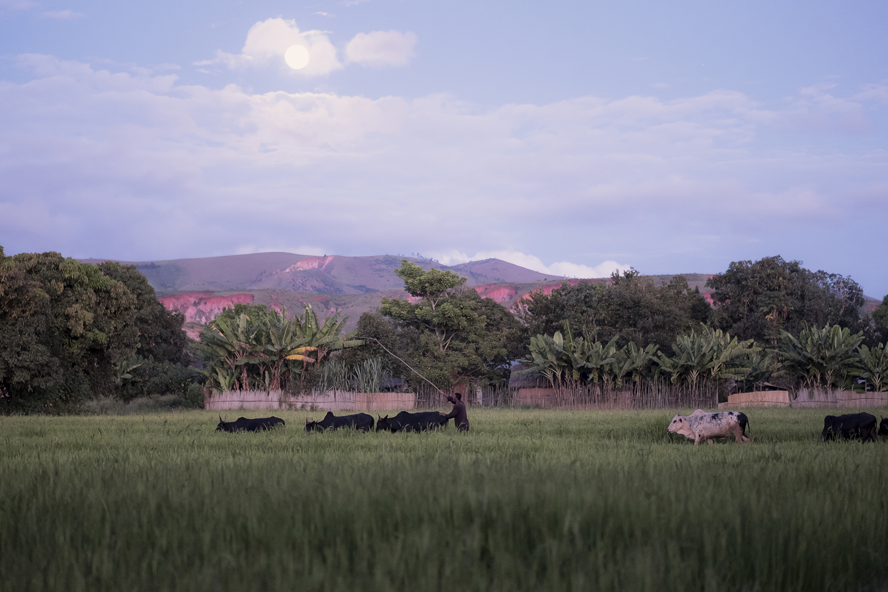 #freelance #photographer #haddadtoni #tasweer #active #available #beirut #madagascar #lebanon #beirut