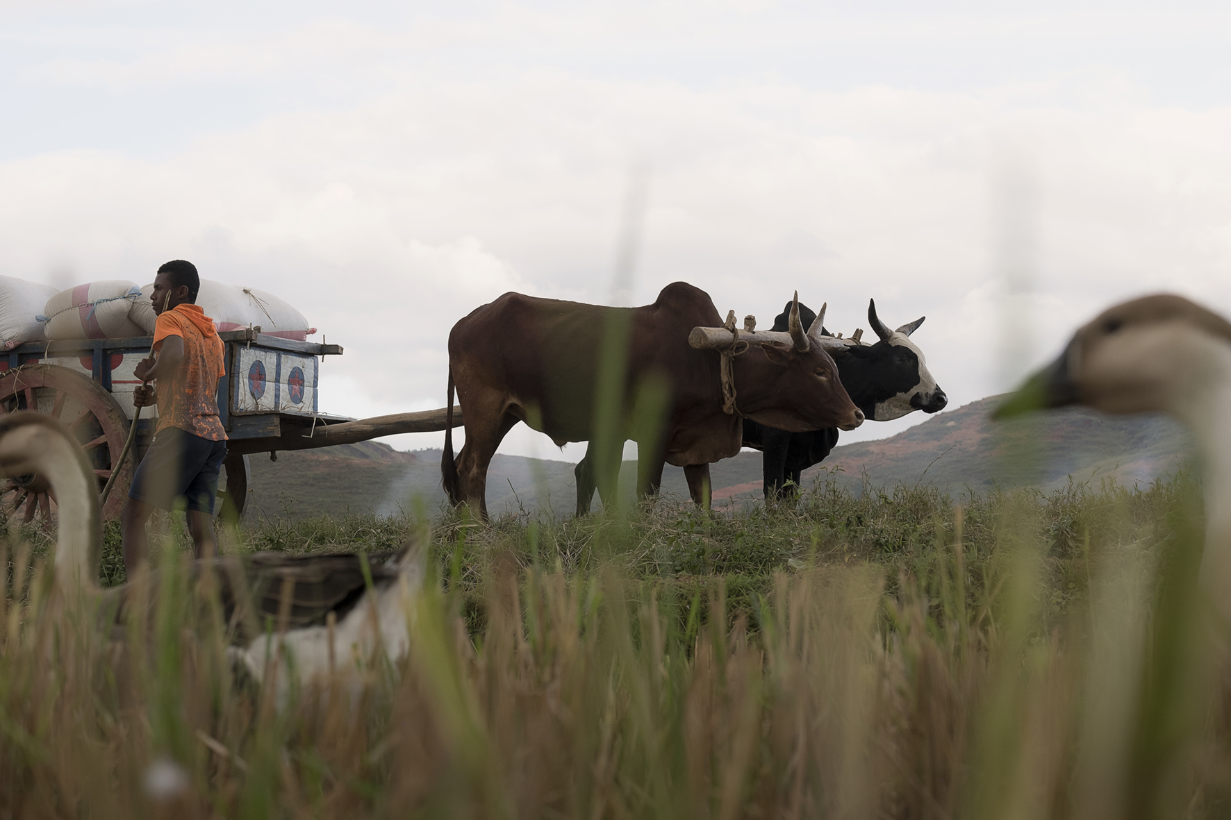 #freelance #photographer #haddadtoni #tasweer #active #available #beirut #madagascar #lebanon #beirut