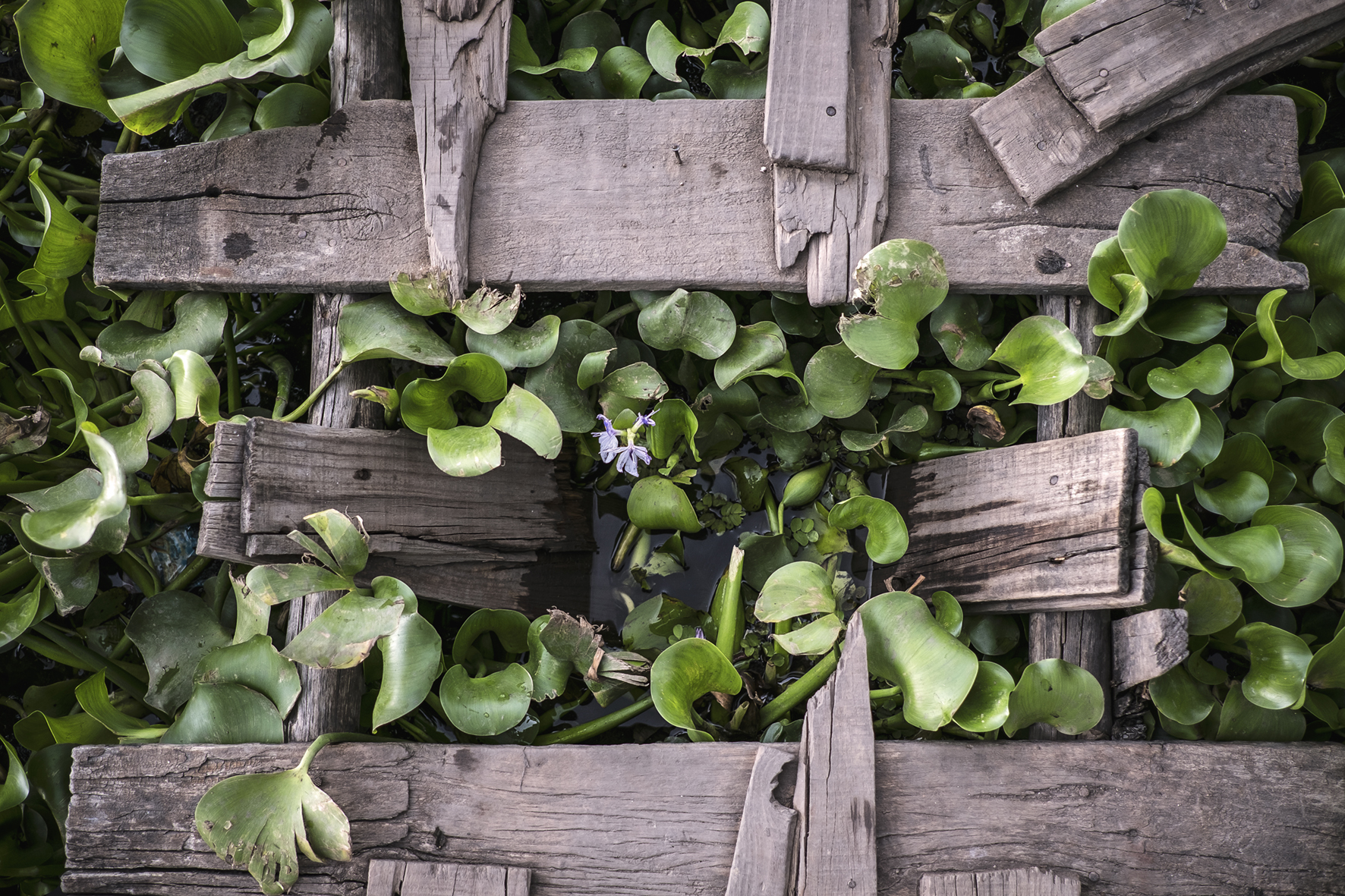 #freelance #photographer #haddadtoni #tasweer #active #available #beirut #madagascar #lebanon #beirut