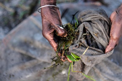 #freelance #photographer #haddadtoni #tasweer #active #available #beirut #madagascar
#corporatephotographer #tasweer.lb #tasweer #beirut #ToniHaddad #portfolio #contact #photojournalism #photojournalist #freelance #photographer #haddadtoni #tasweer #active #available #beirut #madagascar #lebanon #beirut