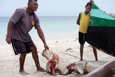Photojournaliste indépendant basé à Madagascar, #haddadtoni #madagascararchive #archive #madagascar #madagascarphotos #madagascarphotographs #photosofmadagascar #photographsofmadagascar #digitalmadagascar #haddadToniphotography, #haddadtonimadagascarphotography #artphotography #photograph #photographmadagascar #artworkmadagascar #fujifilm #madagascarprints #photo #digitalphotosofmadagascar #xpro3 #madagascarartwork #residentphotography #residentphotographymadagascar #fujifilmmadagascar #malagasyportrait #malagachelandscape #madagascarlandscape #madagascarportrait #madagascardocumentary #madagascarphotostory #photographyservicesmadagascar #madagascarphotojournalism #independentphotojournalistmadagascar #independentphotographmadagascar #streetphotographymadagascar #madagascarstreet #contactphotographmadagascar #malagasypeople #malagasypeoplephoto, #malagasypeoplephotography #malagasystreets #madagascarstreet #malagasylife #madagascardailylife #madagascarscenery #malagasypeoplephoto #malagasypeopleportrait #malagasypeopleportraitphoto #madagascarphotographermadagascarphotoproject #madagascarprofessionalphotographer #madagascarphotographprofessionel #photojournalistmadagascar #madagascar #streetphotography #easttcoast #fenerivoest #majenga #photographylessonsinmadagascar #market