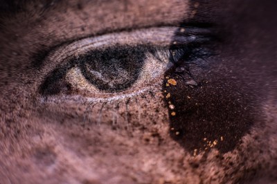 #freelance #photographer #haddadtoni #tasweer #active #available #beirut #madagascar #lebanon #beirut