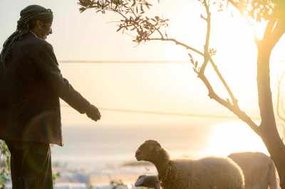 #freelance #photographer #haddadtoni #tasweer #active #available #beirut #madagascar #lebanon #beirut